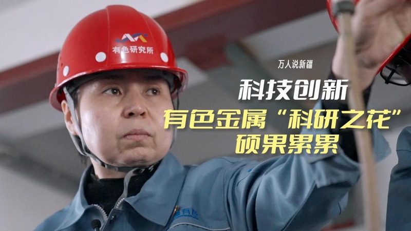 科技服务招标代理公司排名：揭秘行业选标关键